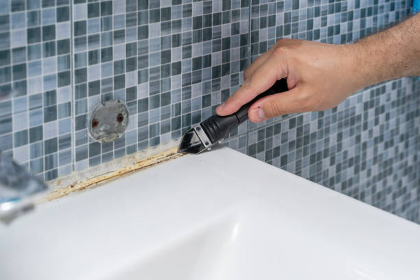 Best Preventive Mold Services in Four Corners, MD